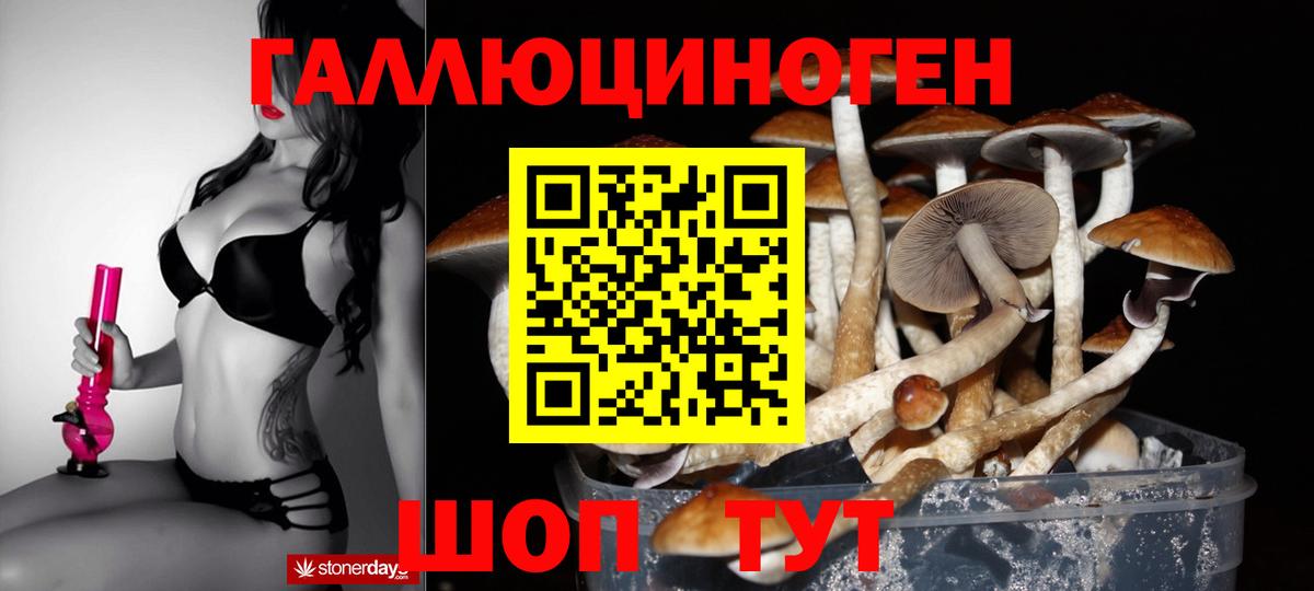 Псилоцибиновые грибы Psilocybe  Вход с VPN  Кизилюрт  Псилоцибиновые грибы мицелий 